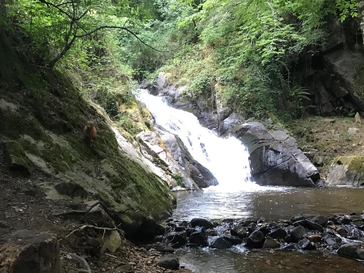 B&B Le Saut De La Bergere Aubazines Exterior foto